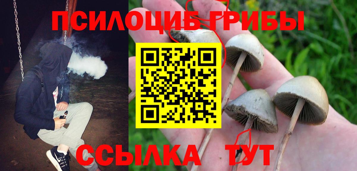 Псилоцибиновые грибы мухоморы Саратов